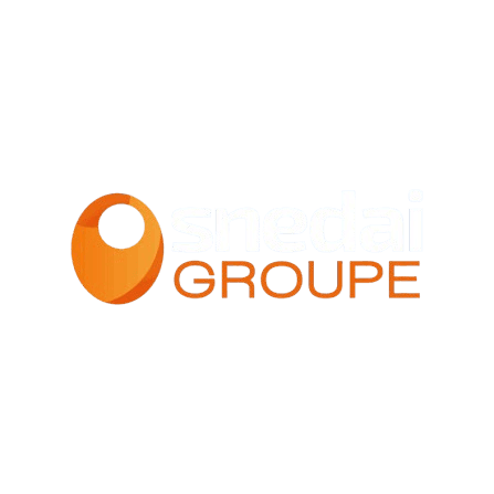 Groupe SNEDAI